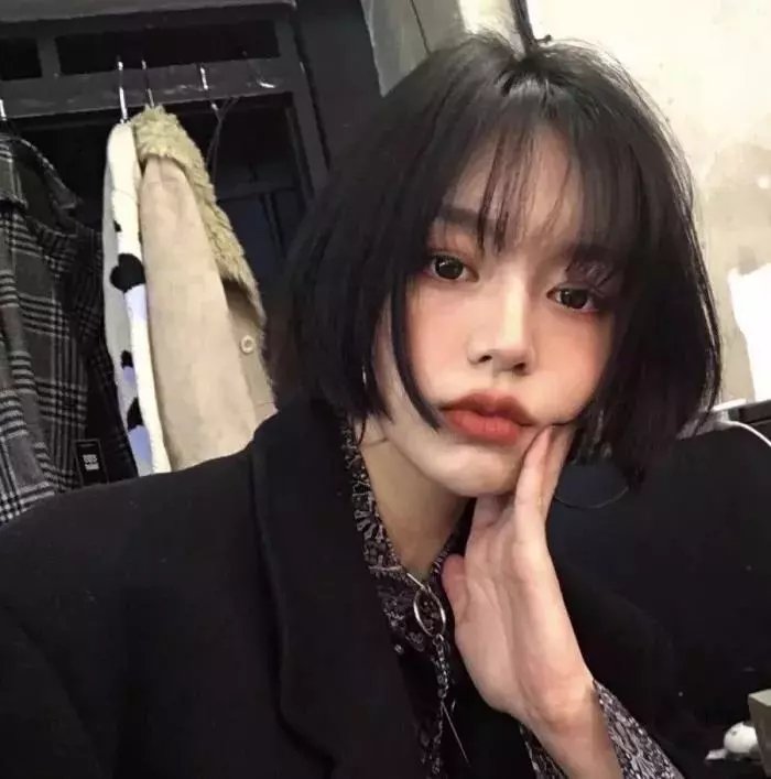 至尊狗通缉令